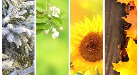 Weather & Climate: The Difference thumbnail