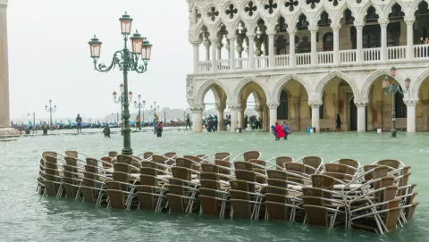 Impact On Humans thumbnail