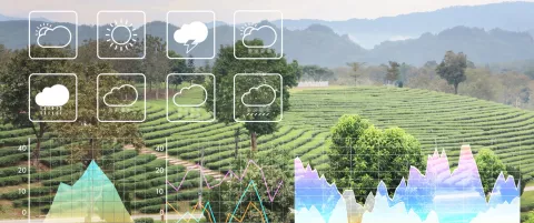 Predicting Weather & Climate thumbnail