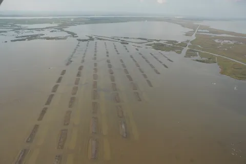 Restoring The Wetlands Of Louisiana thumbnail